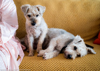 GIRLS GET READY - WELLBEING FARM WEDDING, BOLTON, GREATER MANCHESTER