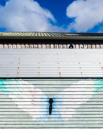 GUYS GET READY & VENUE - WELLBEING FARM WEDDING, BOLTON, GREATER MANCHESTER