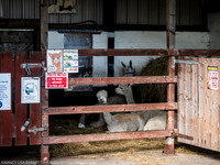 GUYS GET READY & VENUE - WELLBEING FARM WEDDING, BOLTON, GREATER MANCHESTER