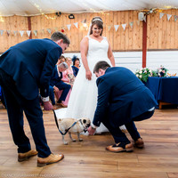CEREMONY - WELLBEING FARM WEDDING, BOLTON, GREATER MANCHESTER