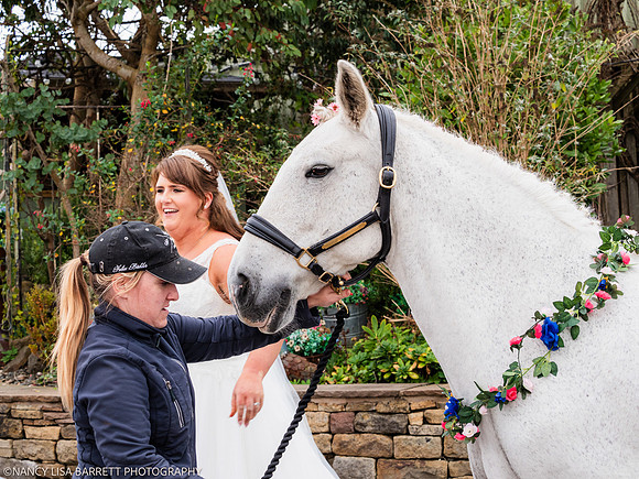 BRIDE & GROOM PORTRAITS - WELLBEING FARM WEDDING, BOLTON, GREATER MANCHESTER