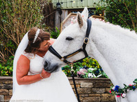 BRIDE & GROOM PORTRAITS - WELLBEING FARM WEDDING, BOLTON, GREATER MANCHESTER