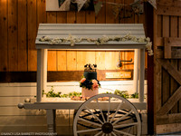 SPEECHES AND ROOM - WELLBEING FARM WEDDING, BOLTON, GREATER MANCHESTER