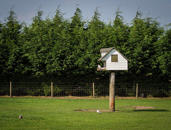 THE AVIARY FUNCTION ROOMS WEDDING, SCARISBRICK, ORMSKIRK, LANCASHIRE