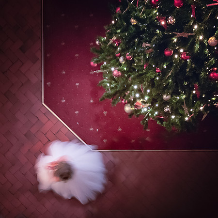 FARINGTON LODGE, LEYLAND, CHRISTMAS WEDDING, LANCASHIRE, NORTH WEST