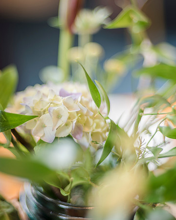 PRESTON MASONIC HALL WEDDING