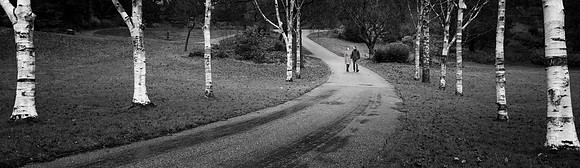 PRE WEDDING SHOOT AVENHAM PRESTON
