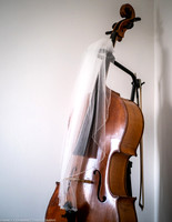 RIBBLE VALLEY & PRESTON WEDDING - LANCASHIRE